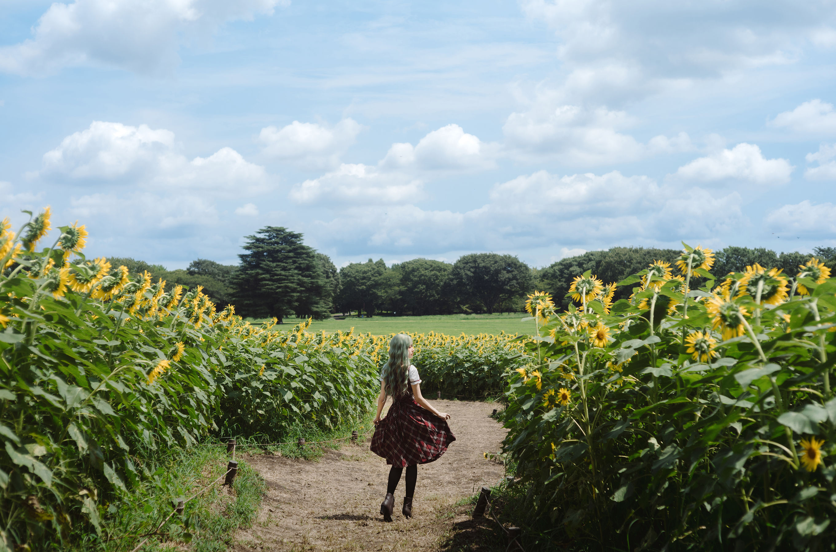 Ely_eee(ElyEE子) - Kazami Yuuka  幽香花海 第10张