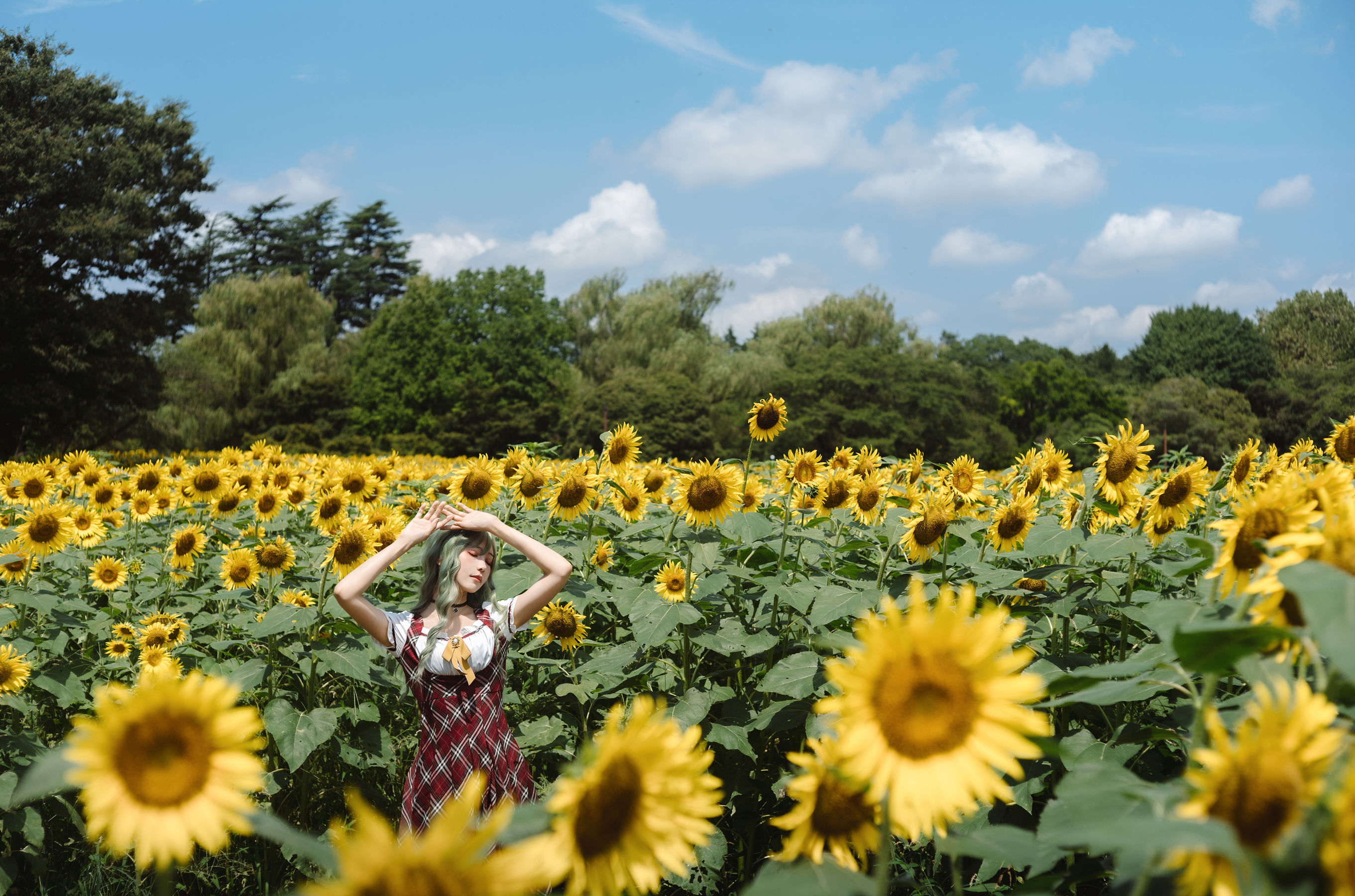 Ely_eee(ElyEE子) - Kazami Yuuka  幽香花海 第16张