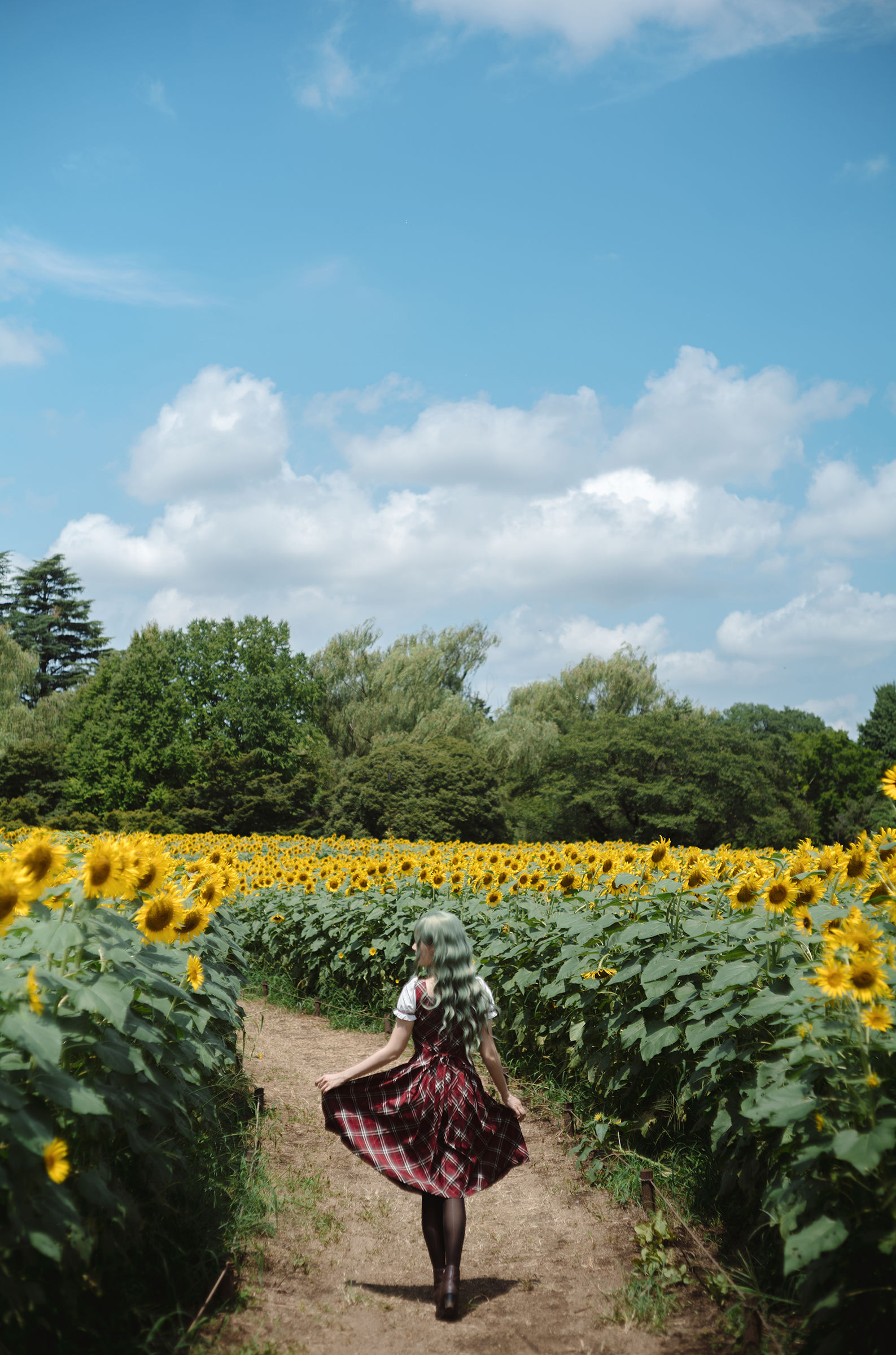 Ely_eee(ElyEE子) - Kazami Yuuka  幽香花海 第24张
