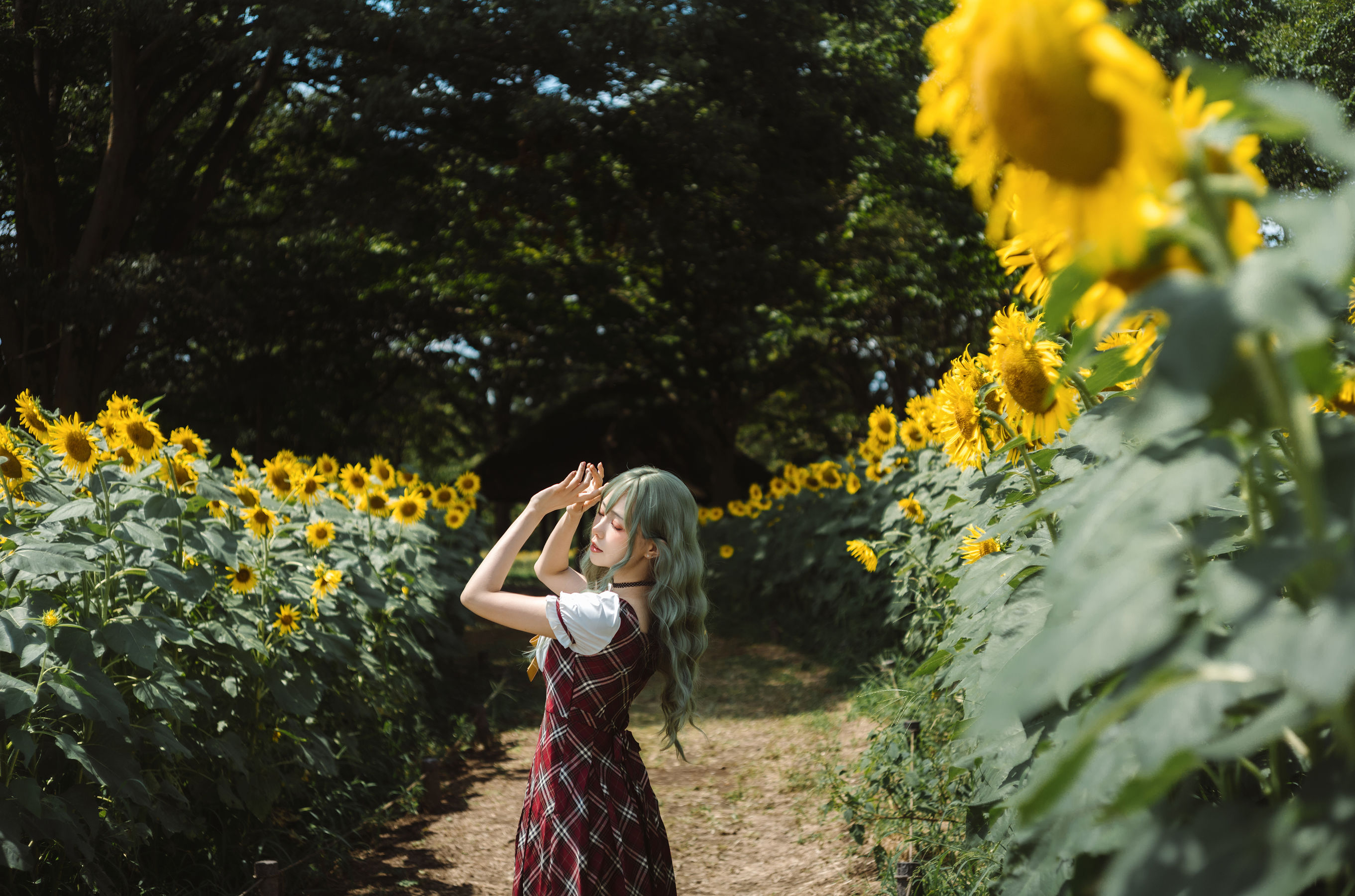 Ely_eee(ElyEE子) - Kazami Yuuka  幽香花海 第4张