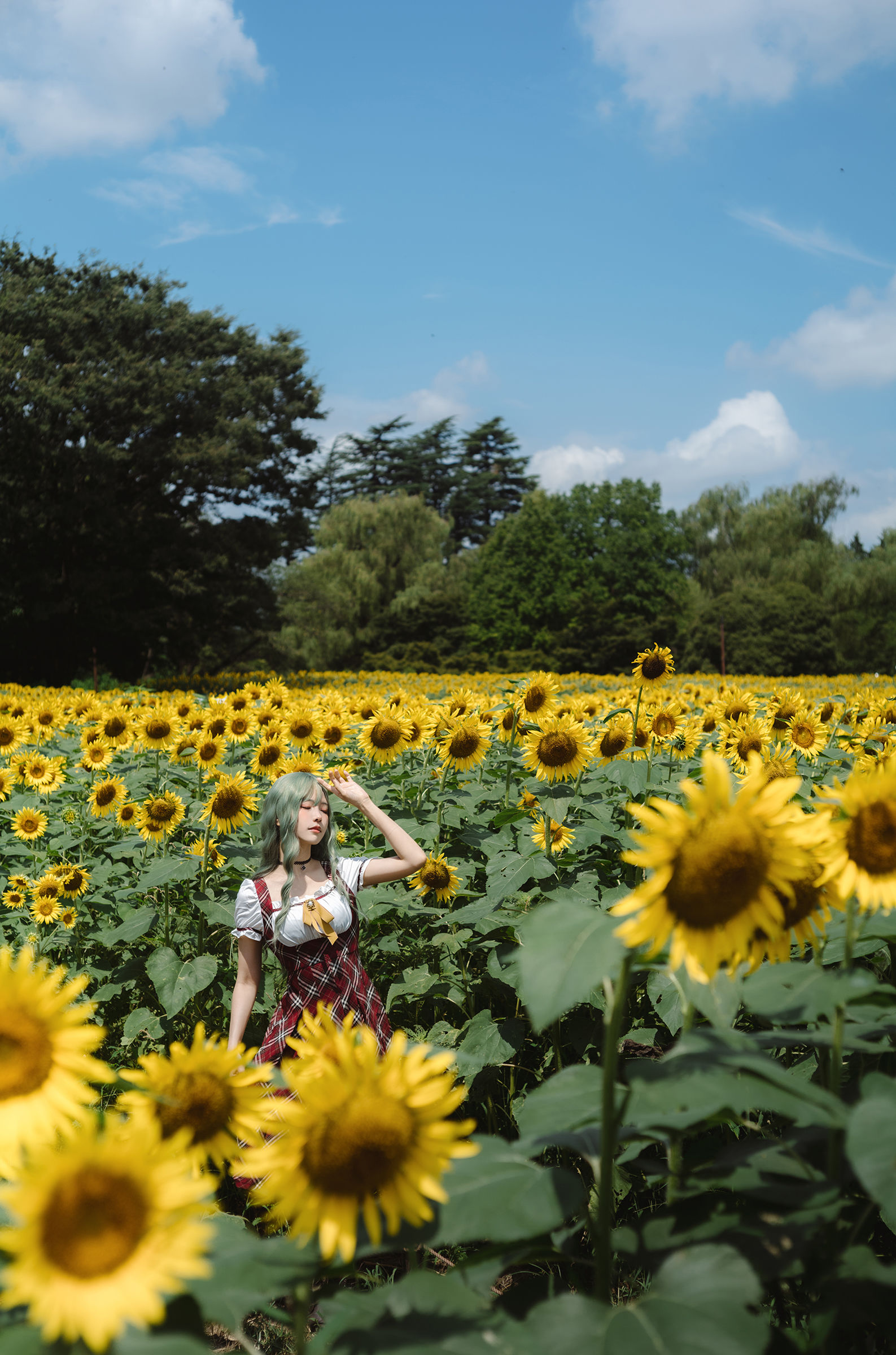 Ely_eee(ElyEE子) - Kazami Yuuka  幽香花海 第15张