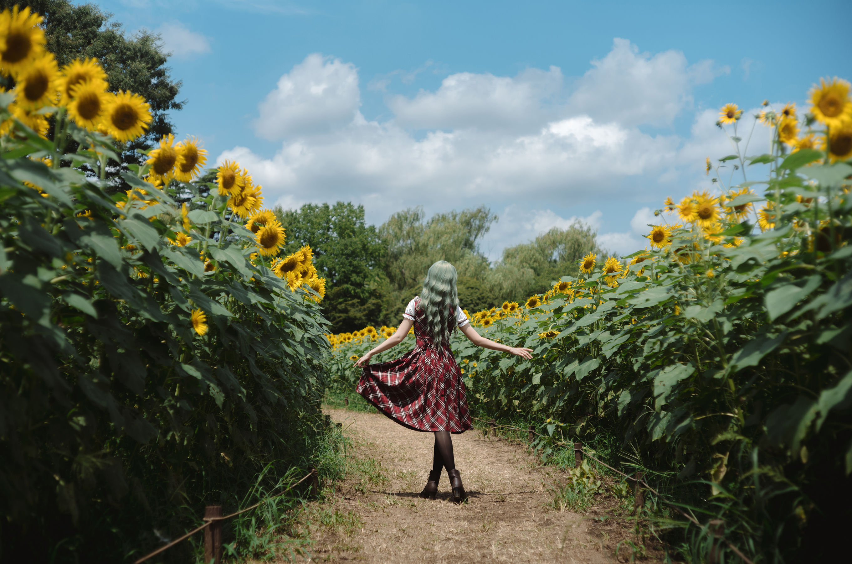 Ely_eee(ElyEE子) - Kazami Yuuka  幽香花海 第25张