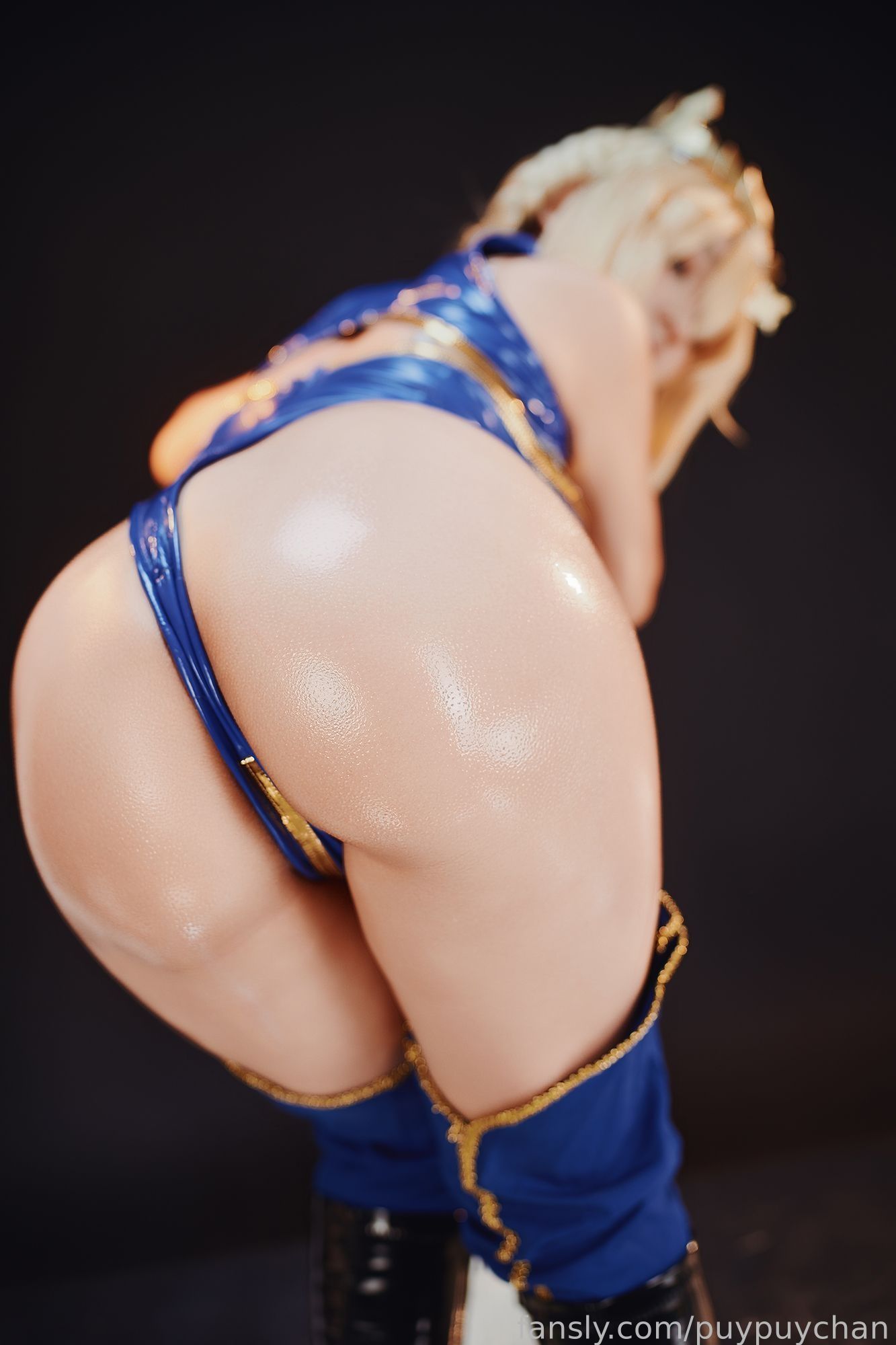 Puy - Artoria Lancer  第116张