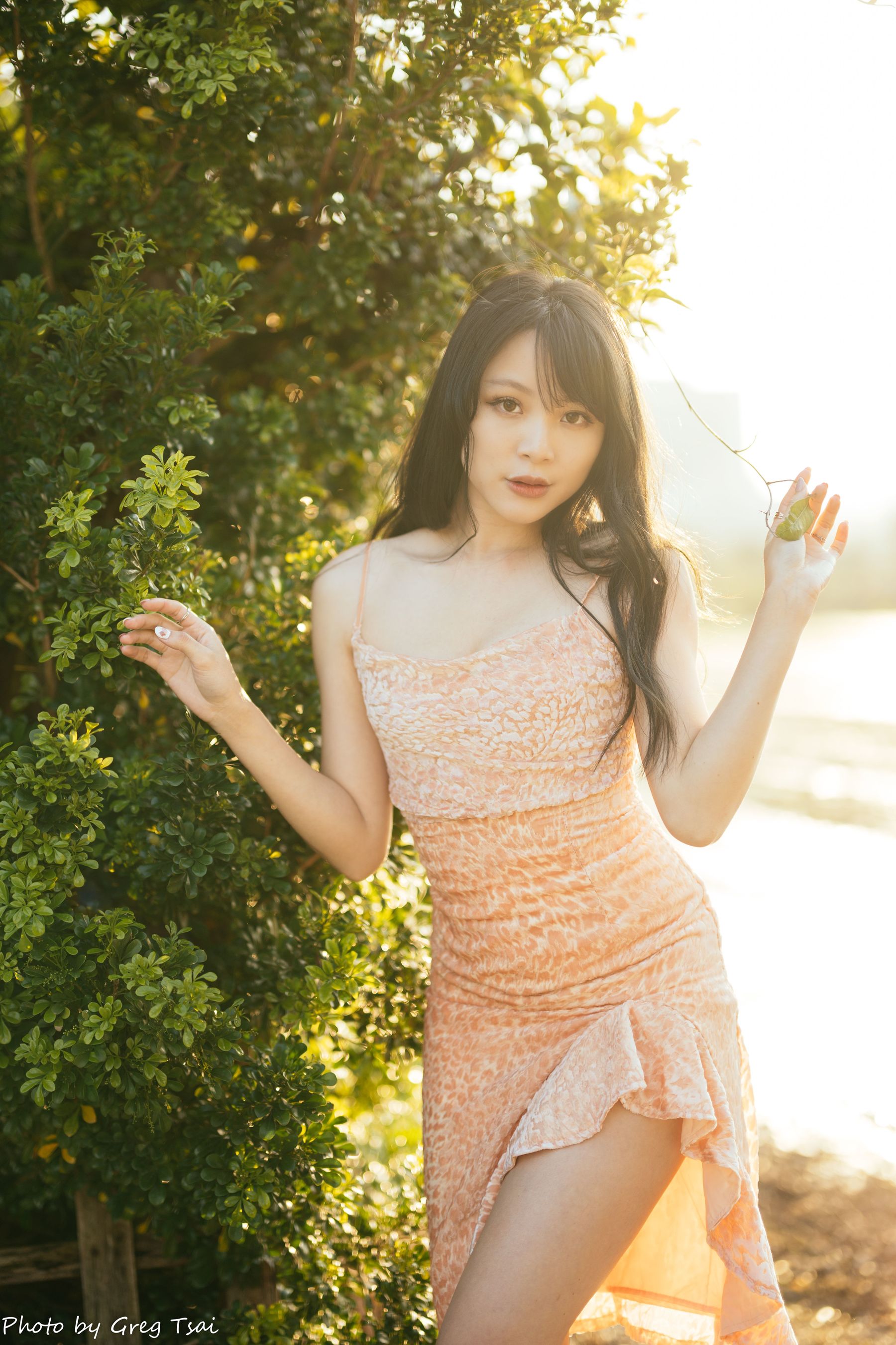 Ashley - 忠义  第18张