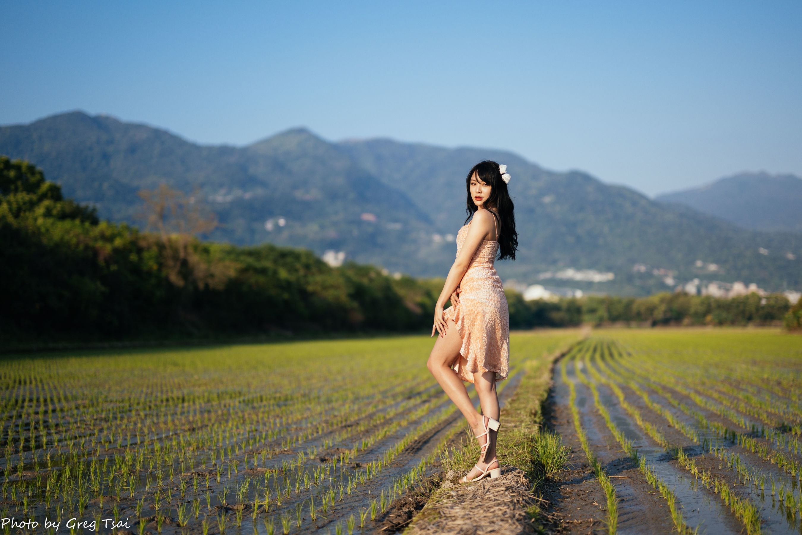 Ashley - 忠义  第4张