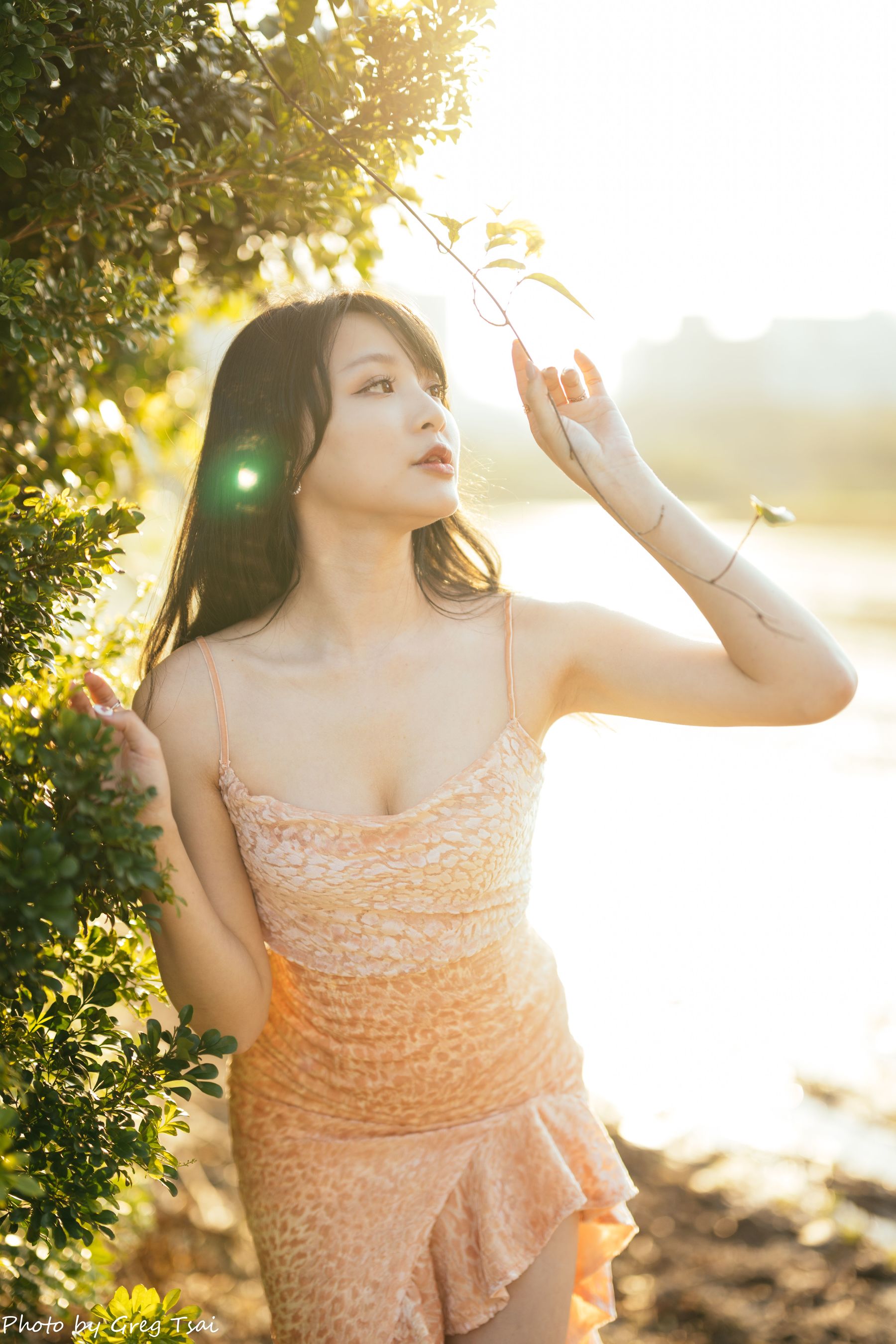 Ashley - 忠义  第18张