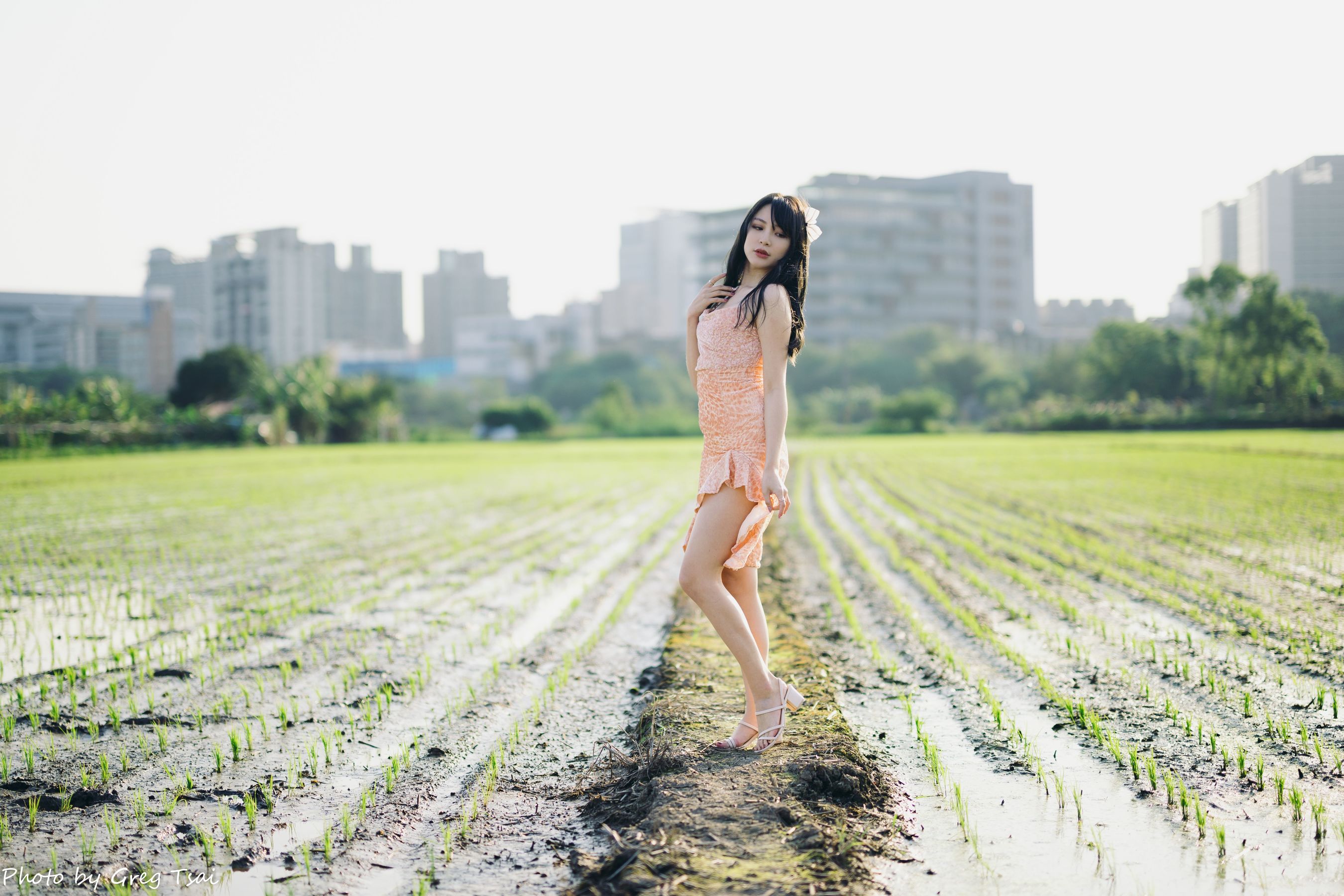 Ashley - 忠义
