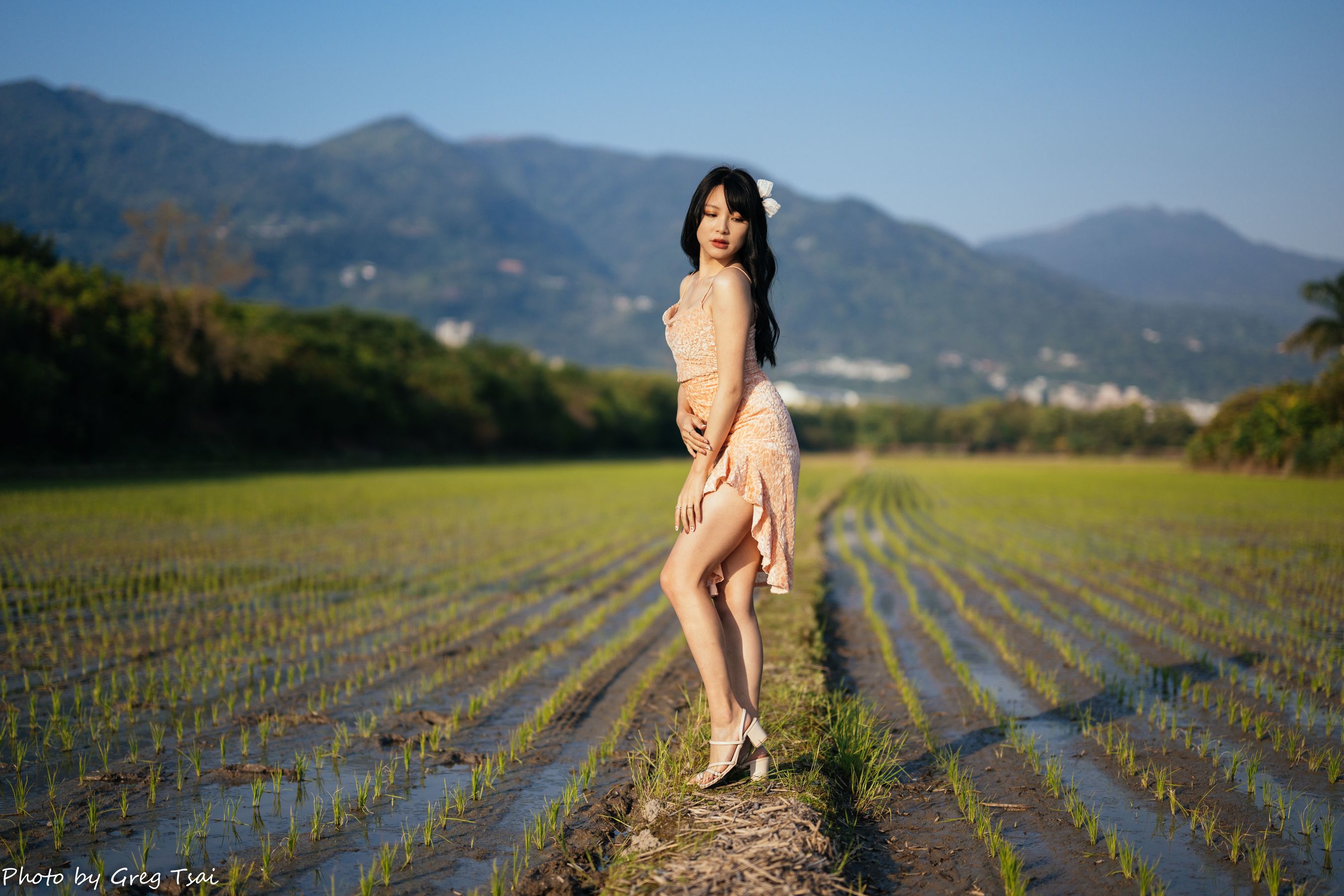 Ashley - 忠义  第4张