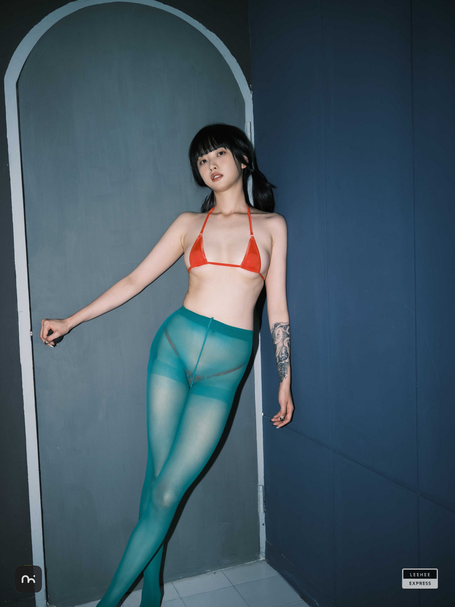 [LEEHEE EXPRESS] LEDG-195C - GMS  第46张