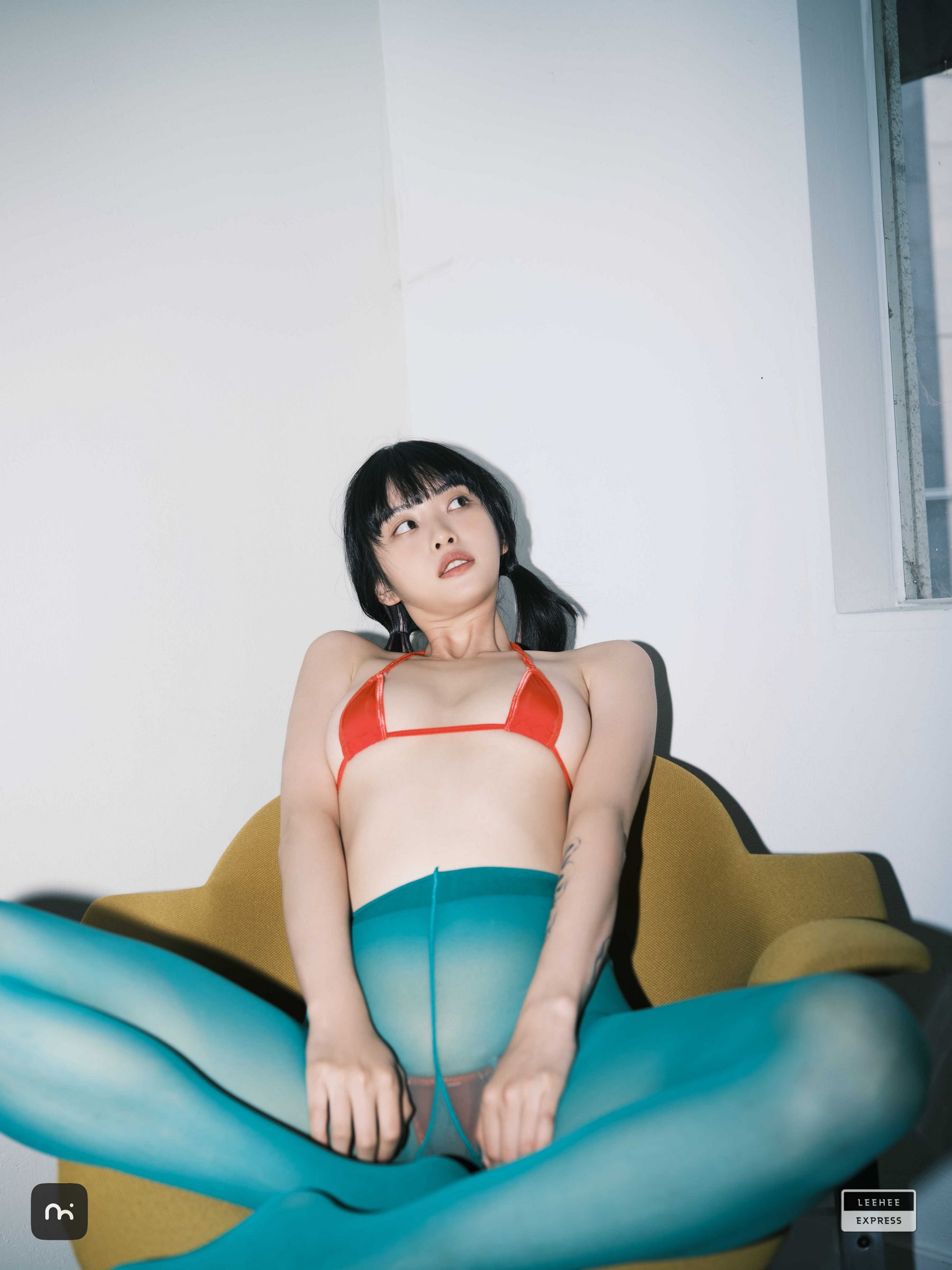 [LEEHEE EXPRESS] LEDG-195C - GMS  第2张