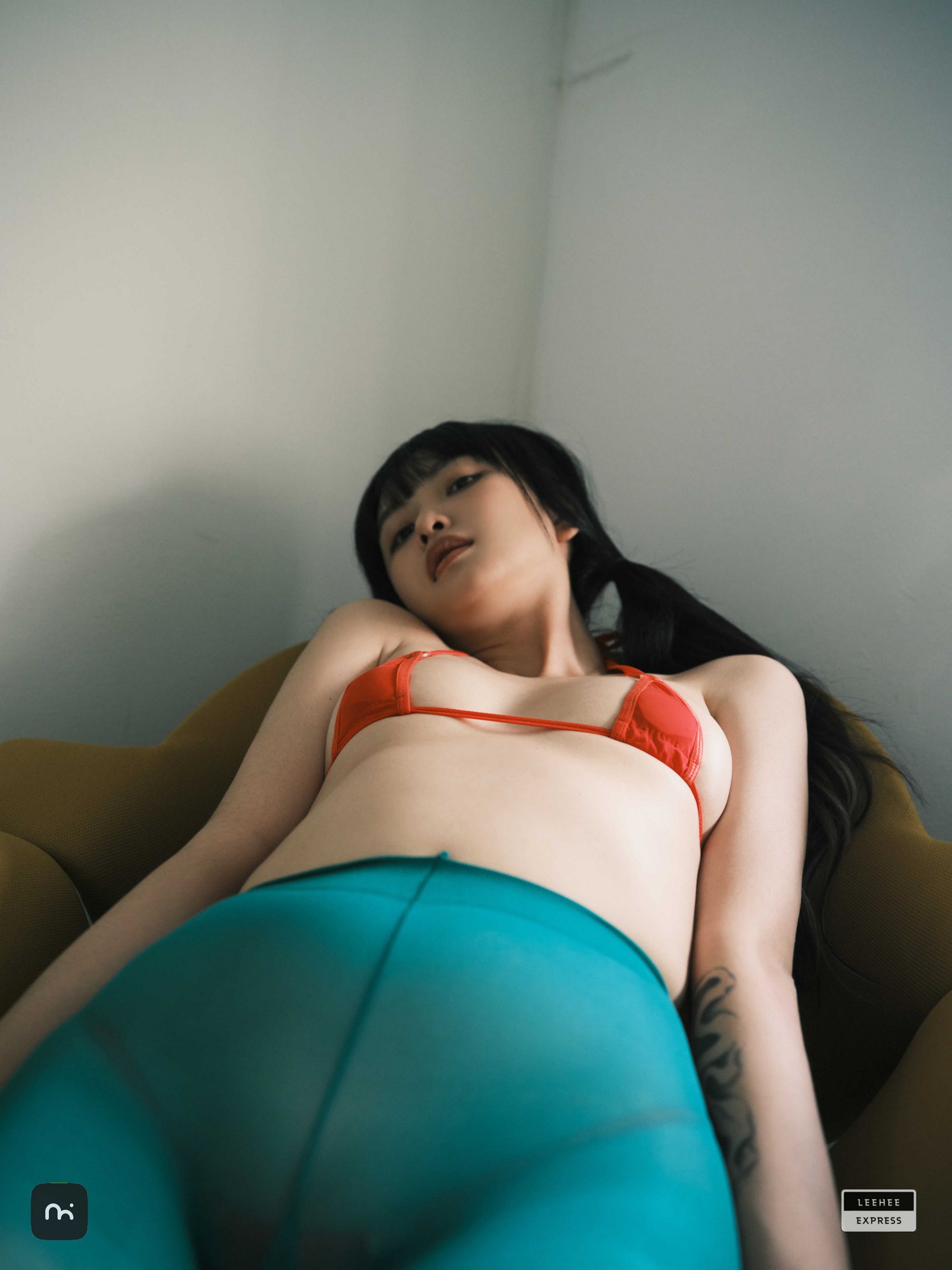 [LEEHEE EXPRESS] LEDG-195C - GMS  第10张