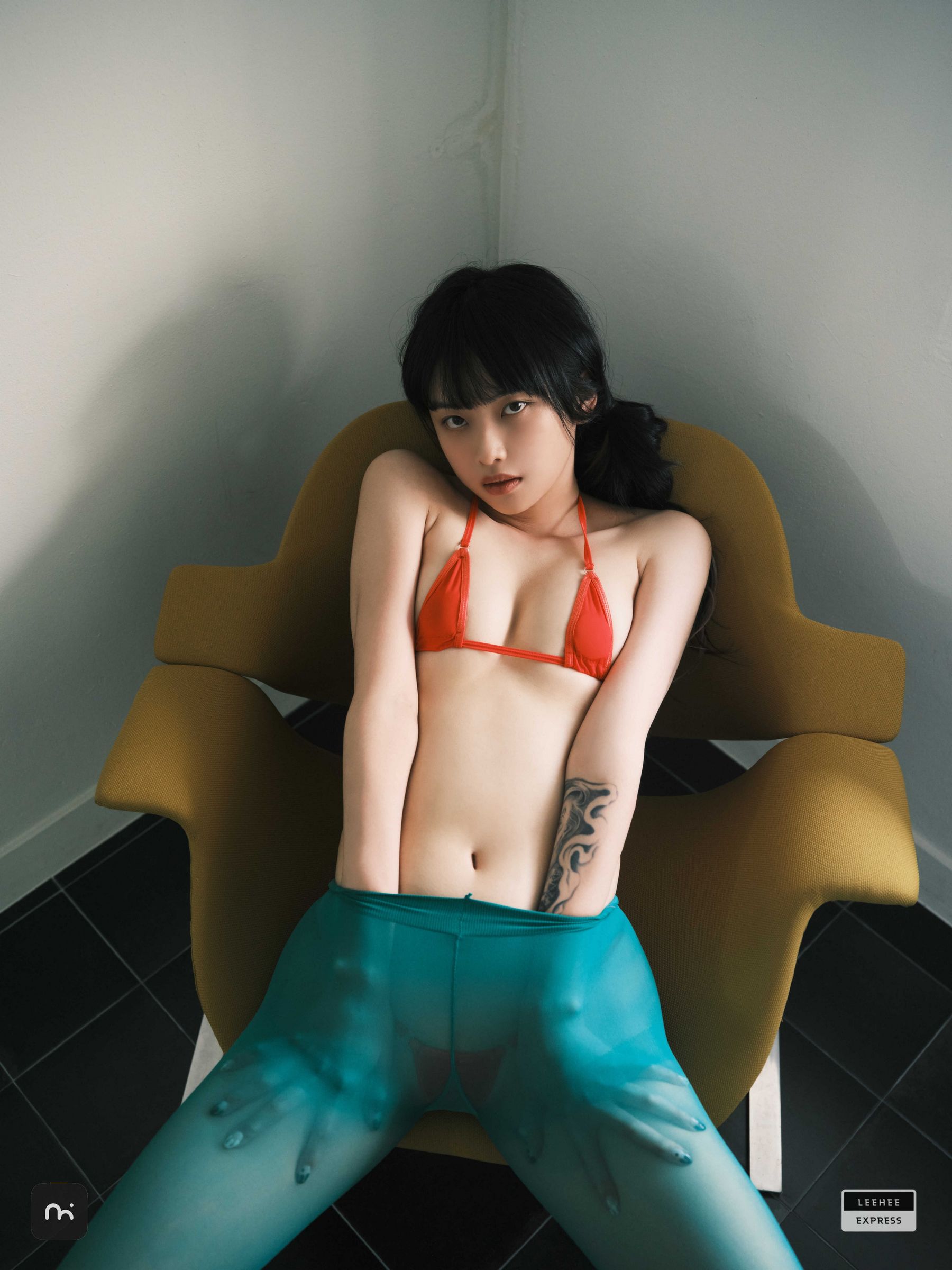 [LEEHEE EXPRESS] LEDG-195C - GMS  第19张