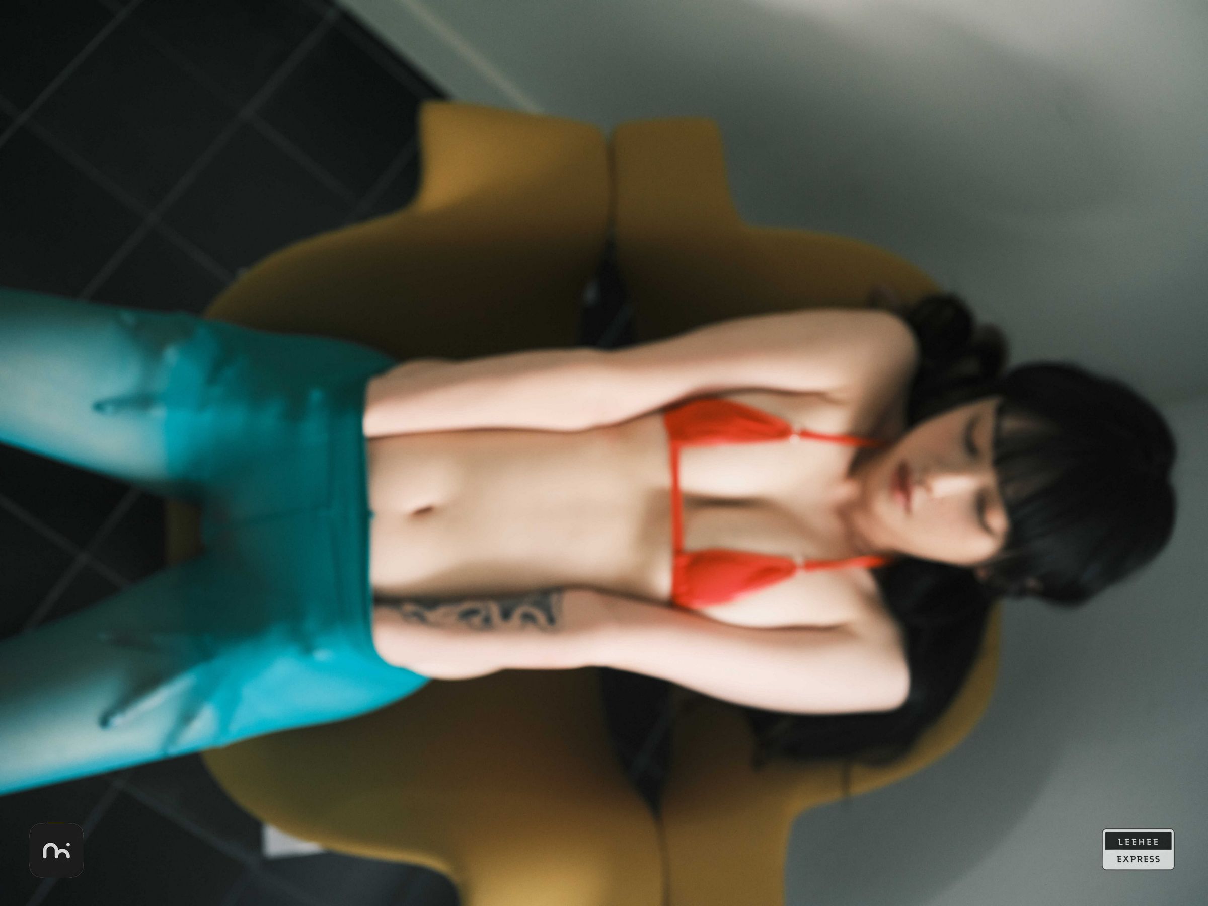 [LEEHEE EXPRESS] LEDG-195C - GMS  第4张