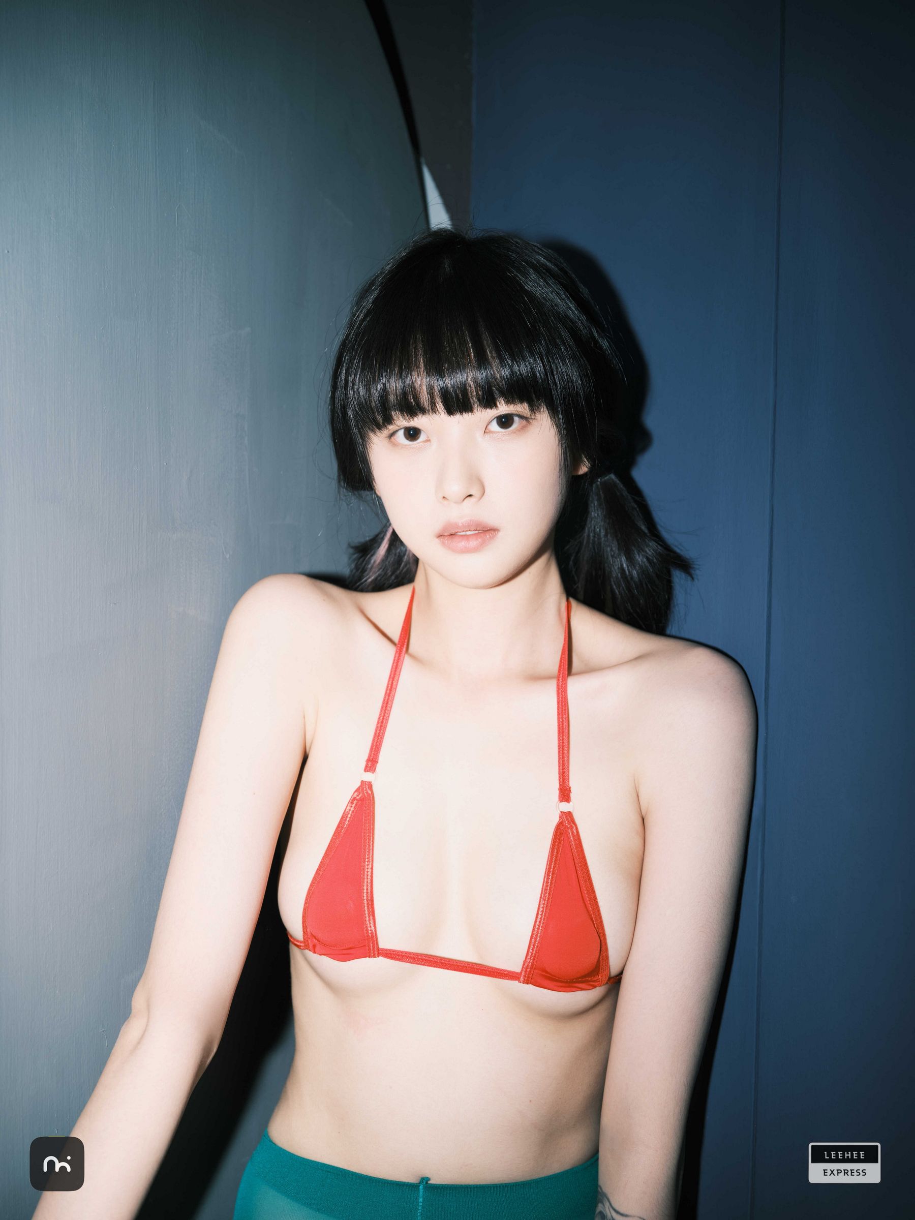 [LEEHEE EXPRESS] LEDG-195C - GMS  第45张