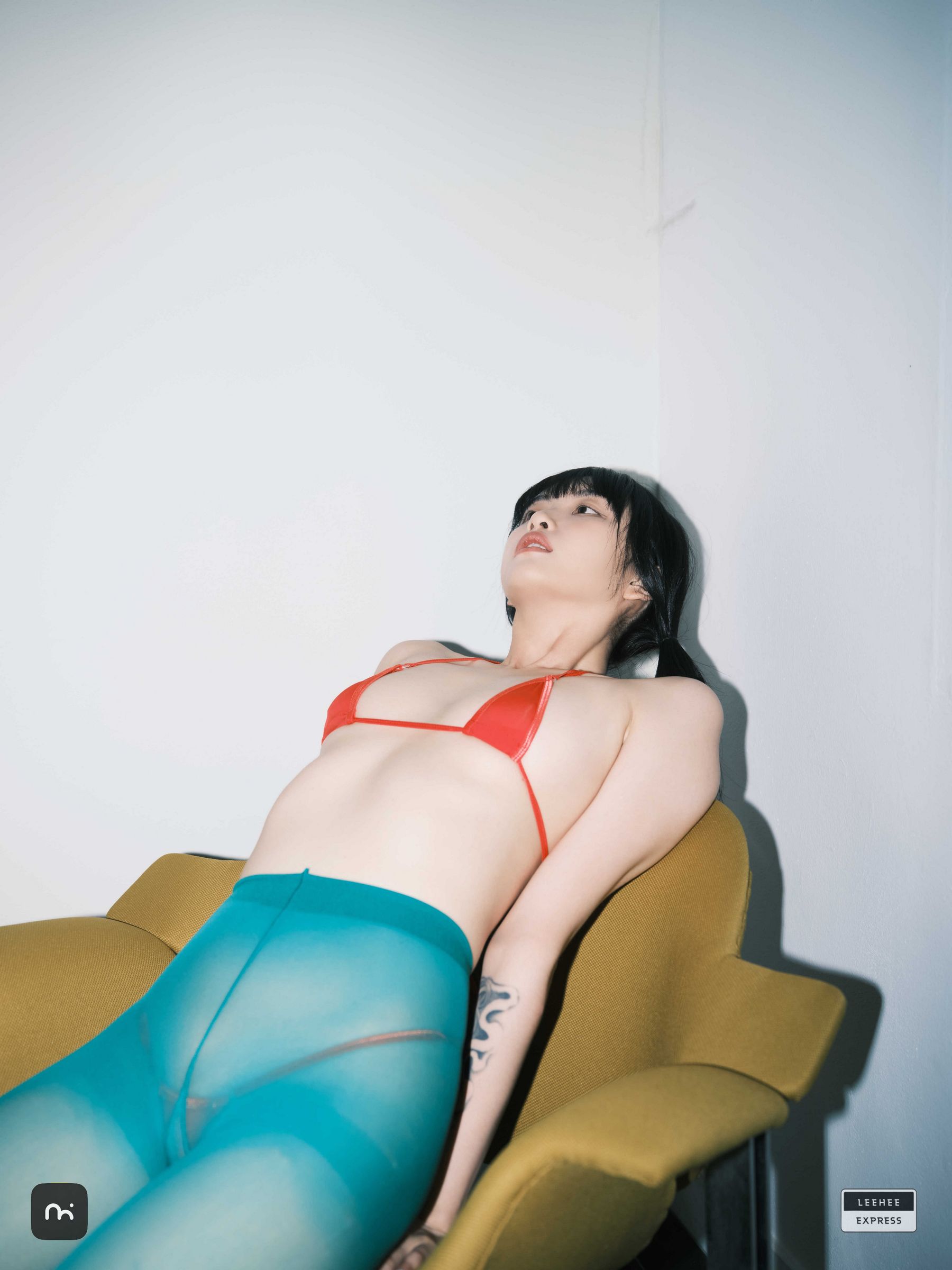 [LEEHEE EXPRESS] LEDG-195C - GMS  第8张