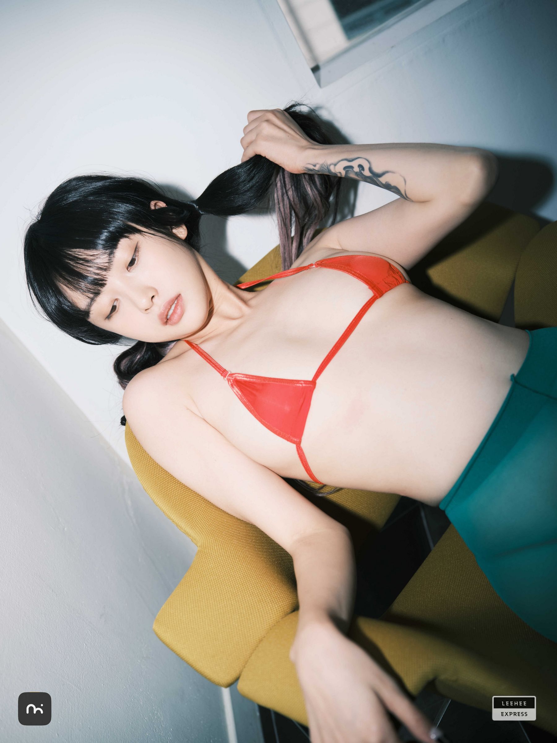 [LEEHEE EXPRESS] LEDG-195C - GMS  第11张