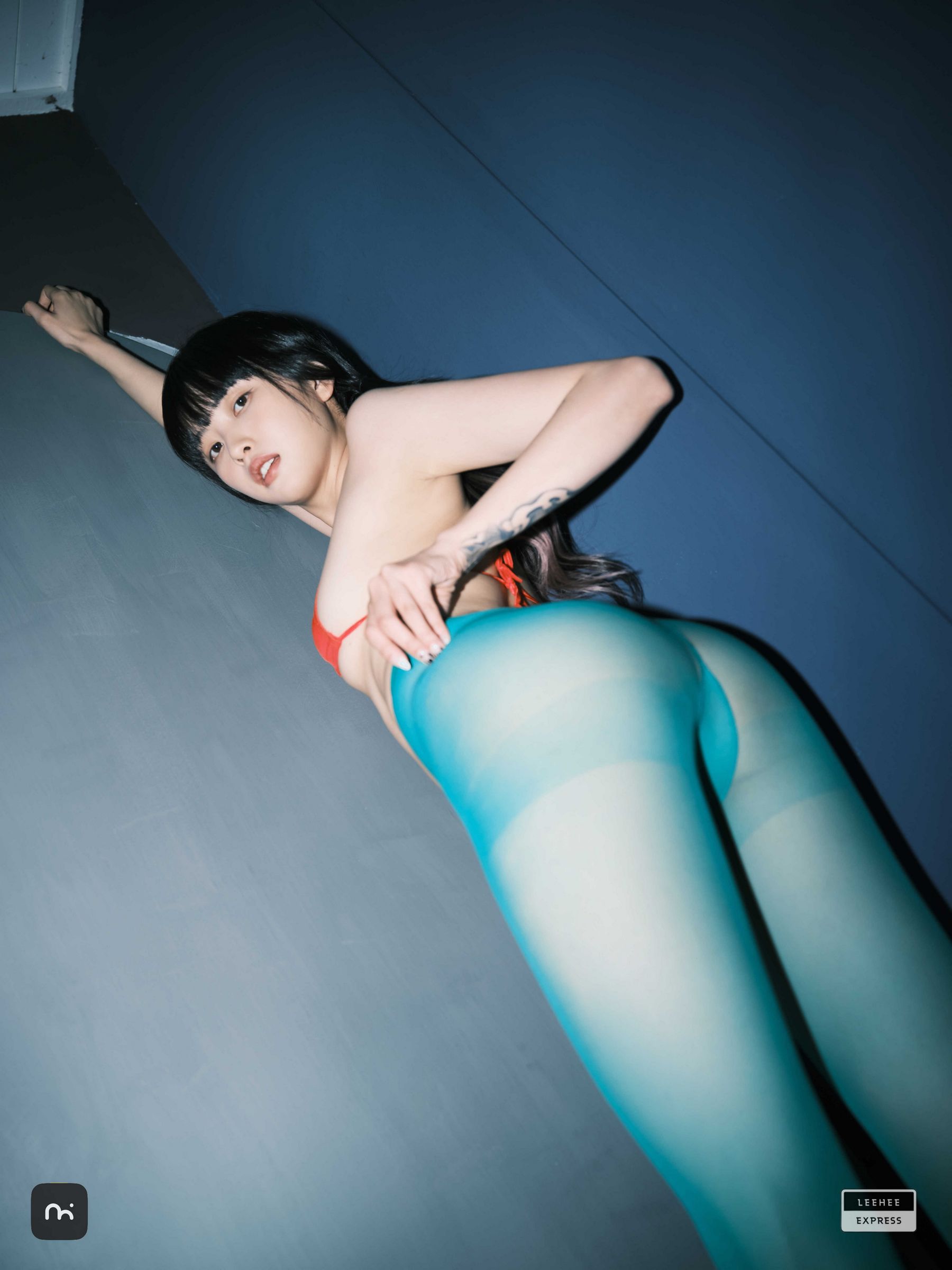 [LEEHEE EXPRESS] LEDG-195C - GMS  第37张