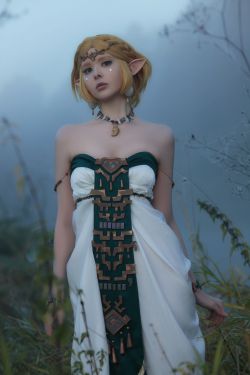 Vinnegal - Zelda
